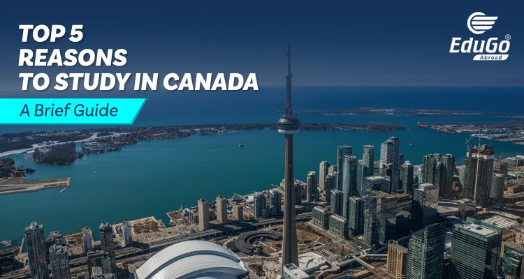 Top 5 Reasons to Study in Canada – A Brief Guide